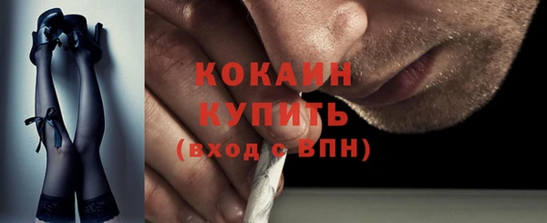 шишки Балахна