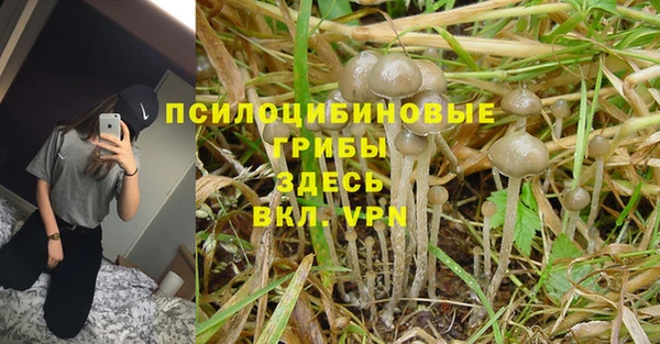 шишки Балахна