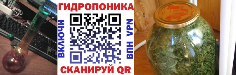 дарнет шоп  Себеж  Каннабис ГИДРОПОН 